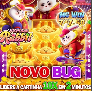 Imagem promocional da plataforma 66br